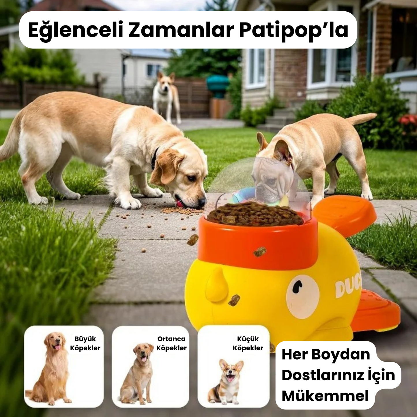 Akıllı Mama Oyuncağı | Dostlarınız İçin Eğlenceli Beslenme